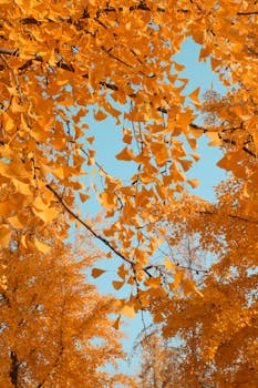  苹果公司在中国应用商店实施佣金率下调举措，标准费率调整为25%，小型企业优惠进一步降至12%；这一变化源于监管沟通，将于近期生效，旨在优化开发者生态并提升平台竞争力。 IT技术 苹果公司在中国应用商店实施佣金率下调举措，标准费率调整为25%，小型企业优惠进一步降至12%；这一变化源于监管沟通，将于近期生效，旨在优化开发者生态并提升平台竞争力。 IT技术 苹果公司在中国应用商店实施佣金率下调举措，标准费率调整为25%，小型企业优惠进一步降至12%；这一变化源于监管沟通，将于近期生效，旨在优化开发者生态并提升平台竞争力。 IT技术