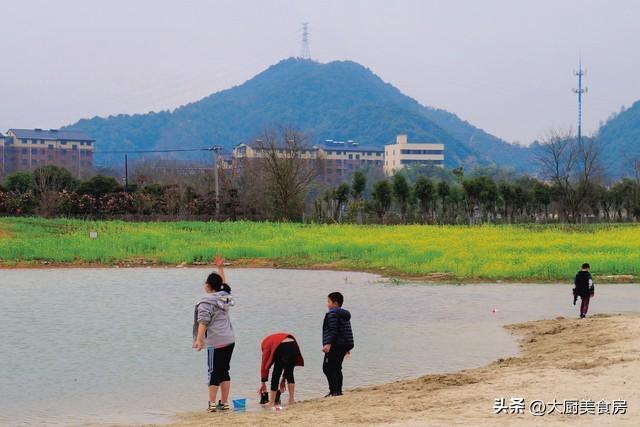  从节气养生到行为哲学：深度拆解农历二月十三民俗禁忌的底层逻辑 文化旅游