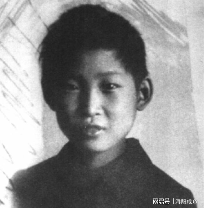 「1949年护送任务」背后的制度设计：贺怡如何完成一场跨越三千里的特殊押运 新闻