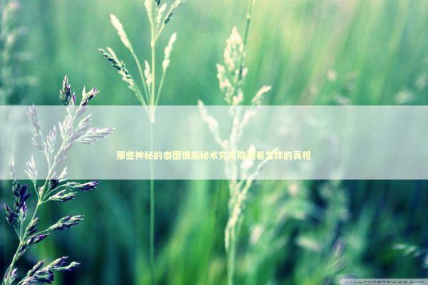 那些神秘的泰国情感秘术究竟隐藏着怎样的真相