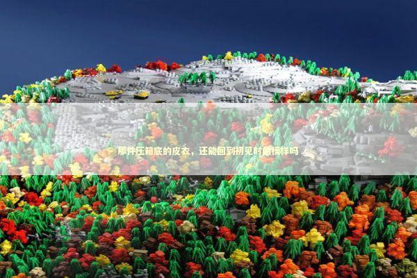 那件压箱底的皮衣，还能回到初见时的模样吗