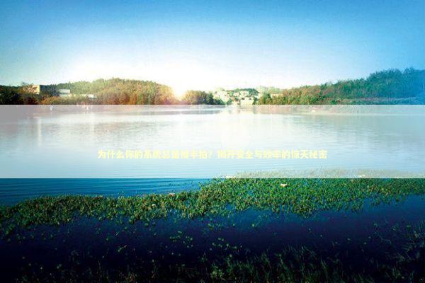 为什么你的系统总是慢半拍？揭开安全与效率的惊天秘密 IT技术