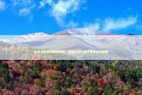 从冲动消费到理性购物：我用三年时间才弄明白的道理 游戏攻略