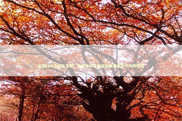 追踪100个团队发现：协作效率高的组织都具备这个共同特征